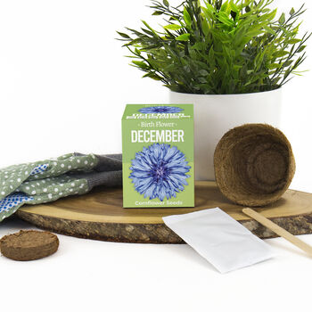 Grow Your Own Birth Flower Choose Your Month, 5 of 12