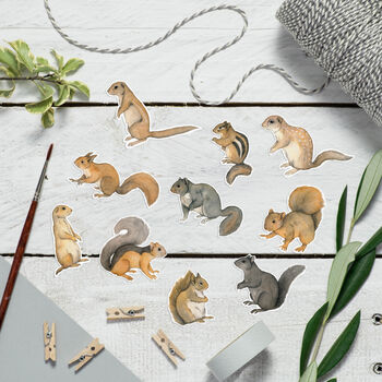 Squirrel Sticker Set, 3 of 5