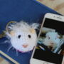 Personalised Crochet Rabbit Guinea Pig Hamster Keyring, thumbnail 8 of 11