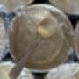 Indian Brass Masala Box: Decorative Spice Container, thumbnail 10 of 12