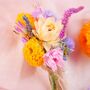 The Botanical Grove Dried Flower Baked Blossom Corsage, thumbnail 1 of 3