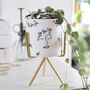 Face Print Mini Planter And Stand, H14cm, thumbnail 1 of 6