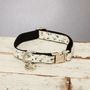 The Stamford Cream And Blue Floral Dog Collar, thumbnail 2 of 3