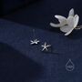 Oxidise Sterling Silver Star Fish Stud Earrings, thumbnail 7 of 12