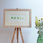 Brussels Sprouts Botanical Watercolour Illustration, thumbnail 1 of 4