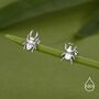 Sterling Silver Mismatched Beetle Screw Back Stud Earrings, thumbnail 6 of 11