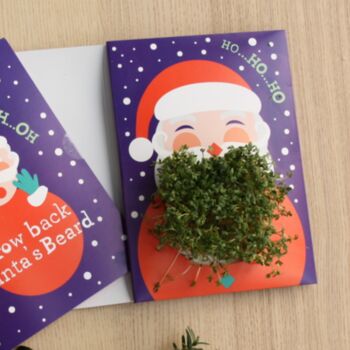Grow Your Own Santa Beard Christmas Card, 3 of 3