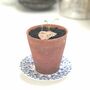 Mother's Day Card Plantable Seed Paper Smiley, thumbnail 10 of 11