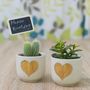 Gold Heart Mini Planter With A Succulent Or Cacti, thumbnail 5 of 7