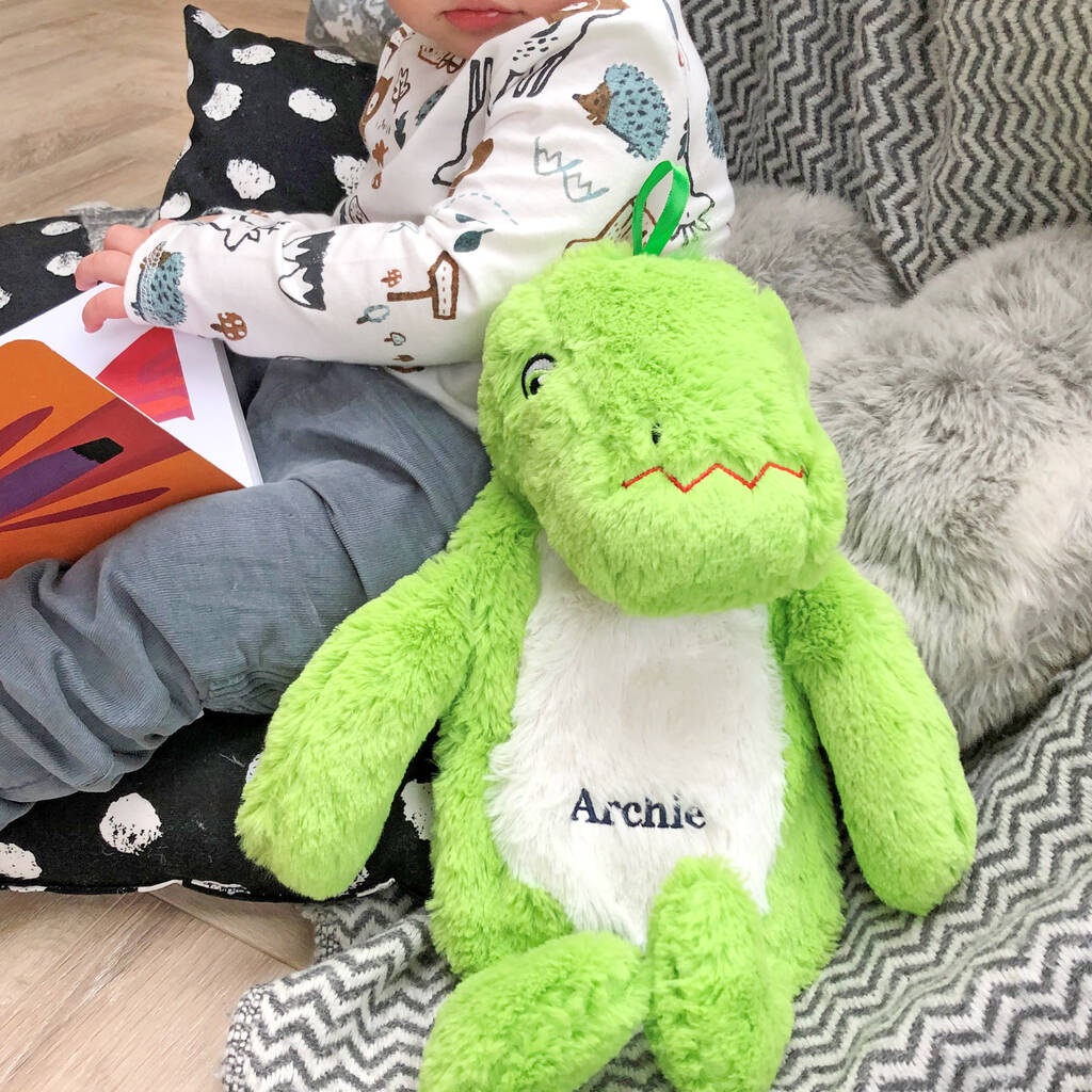 Personalised Dinosaur Hot Water Bottle By Solesmith