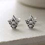 Sterling Silver Mini Botanical Studs, thumbnail 8 of 11