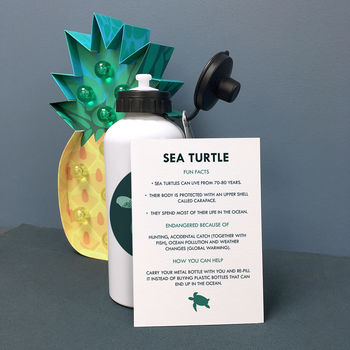 Personalised 'Ocean Defender' Sea Turtle Waterbottle, 6 of 10