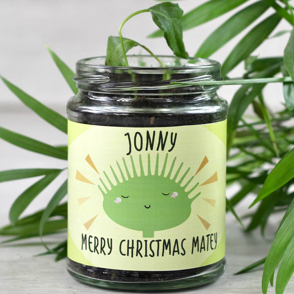 personalised bug eating plant grow kit by beecycle