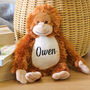 Personalised Orangutan Monkey Teddy Bear Kids Gift Toy, thumbnail 2 of 6