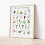 The A To Z Of Wildflowers Print, thumbnail 2 of 6