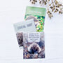 Hedgehog Gift Tea Set, thumbnail 6 of 12
