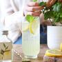 Limoncello Fizz Cocktail Kit, thumbnail 7 of 11