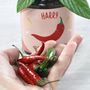 Personalised Hot Chilli Jar Grow Kit, thumbnail 9 of 12