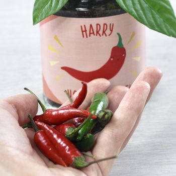 Personalised Hot Chilli Jar Grow Kit, 9 of 12