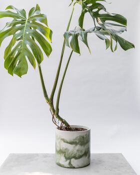 Handmade Plant Pot | Muddy Green And White | Recycled, 3 of 7