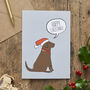Chocolate Labrador Organic Cotton Tea Towel, thumbnail 11 of 12