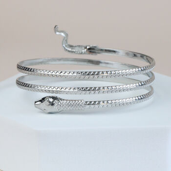 Coiled Snake Bangle, 4 of 5