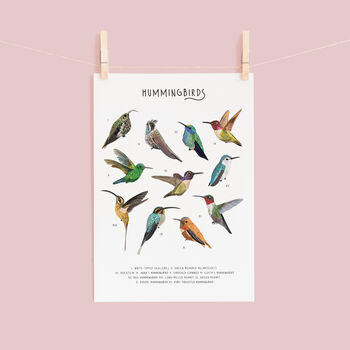 Hummingbirds Print, 2 of 3