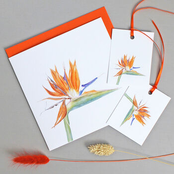 'Bird Of Paradise' Tropical Flower Card, 2 of 5