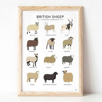 British Sheep Print, 3 of 3