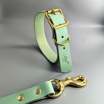 Luxury Leather Dog Collar And Matching Lead Set Nine Colour Options, 9 of 12