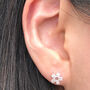 Sterling Silver Mini Cherry Blossom Earrings, thumbnail 5 of 11