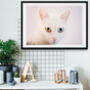 Framed Cat Print Minimal White Cat Photograph, thumbnail 2 of 5