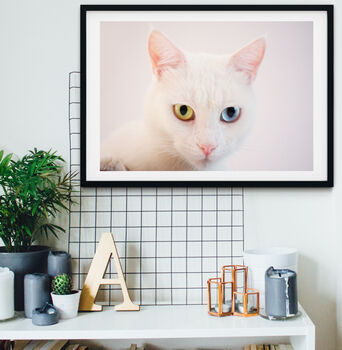 Framed Cat Print Minimal White Cat Photograph, 2 of 5