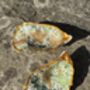 William Morris Print Oyster Shell, thumbnail 2 of 2