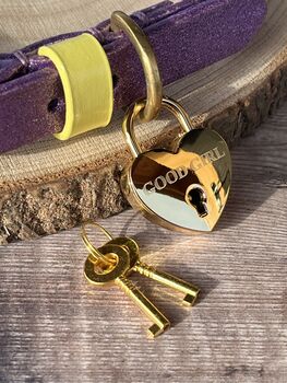 Engraved Pet Name Heart Padlock Dog Tag, 3 of 8