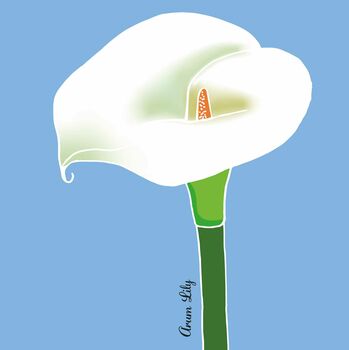 Arum Lily Print On Blue, 7 of 7