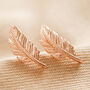 Feather Stud Earrings, thumbnail 5 of 11