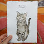 Personalised Pet Illustration In Watercolour, thumbnail 8 of 10