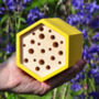 Hexagon Bee House Gift Set, thumbnail 4 of 6