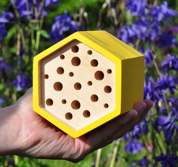 Hexagon Bee House Gift Set, 4 of 6