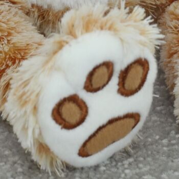 Ginge The Cat, Cuddly Companion Soft Toy, Gift Wrapped, 3 of 6
