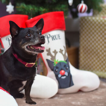 Personalised Reindeer Dog Xmas Stocking, 7 of 11