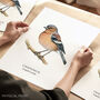 Chaffinch Bird Wall Print Gift, thumbnail 1 of 6