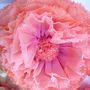 Nine Coral, Hot Pink And Gold Hand Dyed Paper Flowers, thumbnail 3 of 8