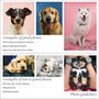 Personalised Dog Portrait From Your Photo, thumbnail 9 of 10