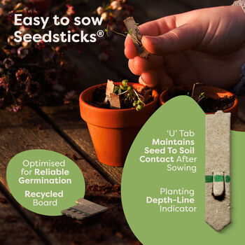 Personalised Kitchen Garden Seeds Starter Kit With 30 Varieties, 6 of 12