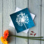 Allium Winter Seed Head Greetings Card, thumbnail 2 of 2