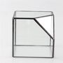 Small Inclined Cube Glass Geometric Terrarium, thumbnail 6 of 7