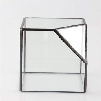 Small Inclined Cube Glass Geometric Terrarium, 6 of 7