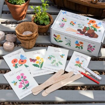 Flower Growing Kit Bee And Butterfly, 2 of 3